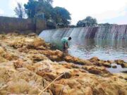 Debit Sungai Citanduy Banjar Menyusut, Warga Berburu Ikan hingga Main Air debit-sungai-Citanduy-menyusut.jpeg