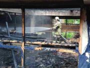 Kandang Ayam di Ciamis Hangus Terbakar, Pemilik Rugi Ratusan Juta kandang-ayam-terbakar.jpeg