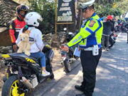Hari ke-10 Operasi Zebra di Garut, Angka Pelanggar Didominasi Knalpot Bising Angka-Pelanggar-Lalu-Lintas.jpg