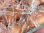 DKPKP Pangandaran Minta Pemprov Tindak Pemburu Baby Lobster Baby-Lobster.jpg