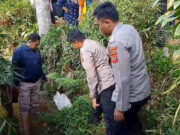 Bayi Laki-Laki Ditemukan di Sungai Culamega Tasikmalaya, Menangis dengan Tubuh Membiru Bayi-laki-laki-ditemukan-di-sungai-Culamega-Tasikmalaya.jpg