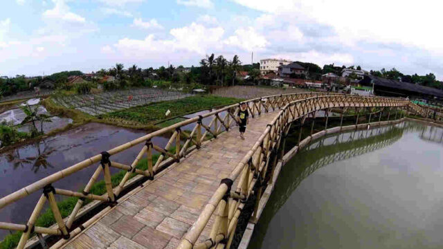 Bubulak-Tepi-Sawah-Wisata-Kuliner-Bogor-Menu-Terjangkau.jpg