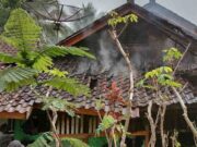 Dapur Rumah Warga Kawali Ciamis Terbakar, kerugian Tembus Rp15 Juta Dapur-Rumah-Warga-Kawali-Ciamis-Terbakar.jpg
