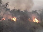 Dua Lahan Kosong di Tasikmalaya Terbakar, Nyaris Merembet ke Pemukiman Dua-Lahan-Kosong-di-Tasikmalaya-Terbakar-Nyaris-Merembet-ke-Pemukiman.jpg