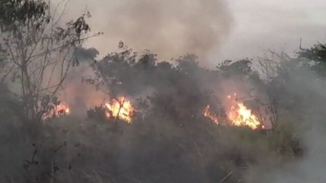 Dua-Lahan-Kosong-di-Tasikmalaya-Terbakar-Nyaris-Merembet-ke-Pemukiman.jpg