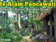 Kafe Alam Pancawati Bogor, Suasana Sejuk Menenangkan Kafe-Alam-Pancawati-Bogor-Suasana-Sejuk-Menenangkan.jpg
