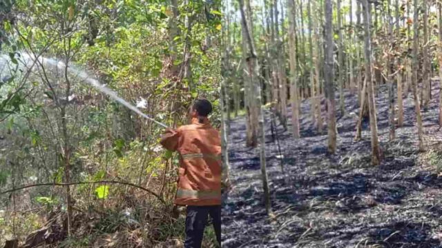 Kebakaran-Hutan.jpg