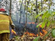 Satu Hektar Lahan Perkebunan Warga di Banjaranyar Ciamis Terbakar Kebakaran-Lahan-2.jpg