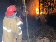Lahan Seluas 2 Hektar Terbakar, Warga Kawasen Ciamis Panik Kebakaran-Lahan-3.jpg