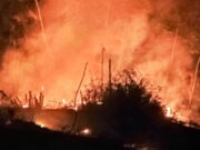 Lahan Perkebunan Kayu dan Bambu di Kawali Ciamis Terbakar Kebakaran-Lahan-5.jpg