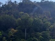 Kebakaran Lahan di Gunung Jayanti Sukabumi Berhasil Dijinakkan Kebakaran-Lahan-Gunung-Jayanti-2.jpg