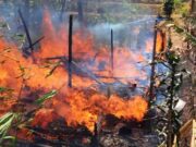 Sebuah Rumah di Garut Terbakar Hebat Hingga Rata dengan Tanah Kebakaran-Rumah-1.jpg