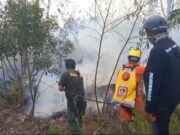 Kemarau Panjang, Kawasan Gunung Guntur Garut Terbakar Kebakaran-di-Gunung-Guntur-Garut.jpg