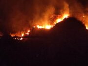 Kebakaran Lahan Terjang Gunung Jayanti Sukabumi Jawa Barat Kebakaran-lahan-Gunung-Jayanti.jpg