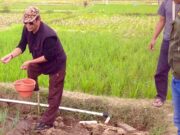 Ketua DPRD Ciamis Beri Edukasi Petani Bawang di Desa Sindangrasa Banjaranyar Ketua-DPRD-Ciamis-Beri-Edukasi-Petani-Bawang-di-Desa-Sindangrasa-Banjaranyar.jpg