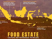 Komisi VI DPR RI Usulkan Proyek Food Estate Diambil Alih BUMN Komisi-VI-DPR-RI-Usulkan-Proyek-Food-Estate-Diambil-Alih-BUMN.jpg