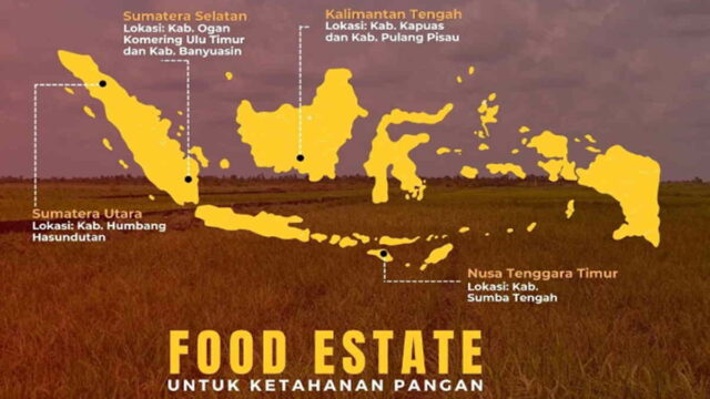 Komisi-VI-DPR-RI-Usulkan-Proyek-Food-Estate-Diambil-Alih-BUMN.jpg