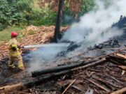 Pabrik Limbah Kayu Milik Warga Pangandaran di Rajadesa Ciamis Terbakar Limbah-Kayu-1.jpg