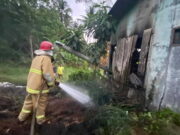 Pabrik Huller di Pamarican Ciamis Nyaris Ludes Terbakar Pabrik-Huller-di-Pamarican-Ciamis-Nyaris-Ludes-Terbakar.jpg