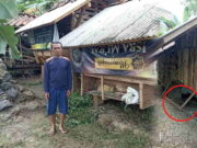 Percobaan Pencurian di Cipaku Ciamis Berhasil Digagalkan Pemilik Percobaan-Pencurian.jpg