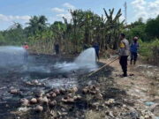 Gerak Cepat Padamkan Kebakaran Lahan, Warga Karangkamulyan Apresiasi Damkar Ciamis Warga-Karangkamulya-Apresiasi-Damkar-Ciamis.jpg