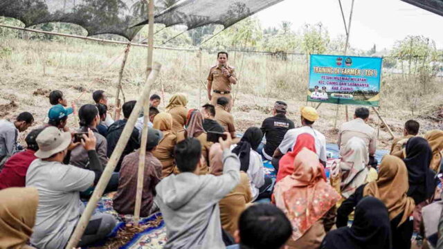 Buka-Kegiatan-Training-Of-Farmer-untuk-Petani-Milenial-Ciamis-Ini-Harapan-Wabup.jpeg