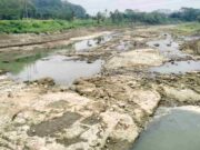 Debit Sungai Citanduy di Kota Banjar Menyusut Gegara Kemarau, Suplai PDAM Tersendat? Debit-Sungai-Citanduy-di-Kota-Banjar-Menyusut-Gegara-Kemarau.jpg