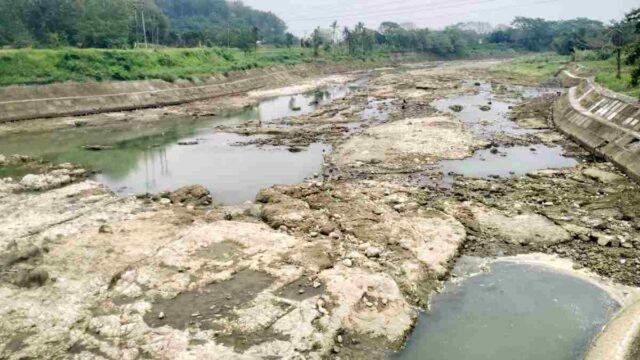 Debit-Sungai-Citanduy-di-Kota-Banjar-Menyusut-Gegara-Kemarau.jpg