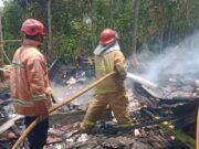 Diduga Percikan Api Sambar Bensin, Warung Milik Warga Bantarsari Ciamis Terbakar Diduga-Percikan-Api-Sambar-Bensin-Warung-Milik-Warga-Bantarsari-Ciamis-Terbakar.jpg
