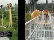 Fakta Jembatan Kaca The Geong Banyumas yang Pecah dan Tewaskan Satu Orang Fakta-Jembatan-Kaca-Geong-Banyumas.jpg
