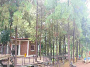 Forest Walk Sumedang Jadi Wisata Ramah Lingkungan Baru Forest-Walk-Sumedang-Jadi-Wisata-Ramah-Lingungan-Baru.jpg