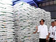 Ini Kriteria Penerima BLT El Nino yang Cair November dan Desember Ini-Kriteria-Penerima-BLT-El-Nino-yang-Cair-November-dan-Desember.jpg