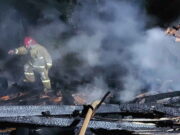 Kandang Ayam Milik Warga Cintanagara Ciamis Terbakar, Ribuan Ekor Ayam Terpanggang Kandang-Ayam-Milik-Warga-Cintanagara-Ciamis-Terbakar-Ribuan-Ekor-Ayam-Terpanggang.jpeg