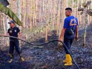 Kebun Jati di Binangun Kota Banjar Terbakar, Diduga Ini Penyebabnya Kebakaran.jpg