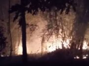 Lagi, Kebakaran Lahan Kering di Tasikmalaya Akibat Pembakaran Sampah Kebakaran-Lahan.jpg
