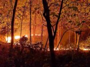Puluhan Hektar Lahan Kebun di Kawasen Banjarsari Ciamis Jadi Lautan Api Kebakaran-Lahan-3.jpg