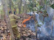 Kebakaran Lahan Ancam Pemukiman Warga di Ciamis, Damkar dan RCS Berjibaku Padamkan Api Kebakaran-Lahan-Ancam-Pemukiman-Warga-di-Ciamis.jpg