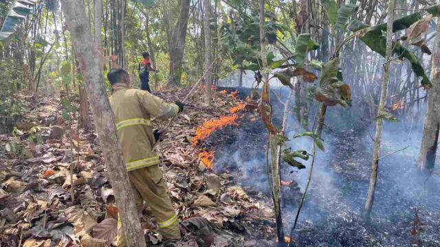 Kebakaran-Lahan-Ancam-Pemukiman-Warga-di-Ciamis.jpg