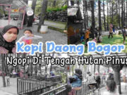Kopi Daong Bogor, Kafe Unik di Tengah Hutan Pinus Kopi-Daong-Bogor-Kafe-Unik-di-Tengah-Hutan-Pinus-1.jpg