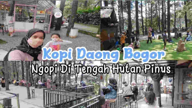 Kopi-Daong-Bogor-Kafe-Unik-di-Tengah-Hutan-Pinus-1.jpg