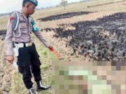 Penemuan Jasad Kakek Tua di Sawah Gegerkan Warga Lakbok Ciamis Penemuan-Jasad-Kakek-Tua-di-Pematang-Sawah-Gegerkan-Warga-Lakbok-Ciamis.jpg