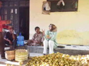 Kunjungi Petani Buah Sawo di Ciamis, Rina Saadah Teringat Masa Kecil Petani-Buah-Sawo.jpg