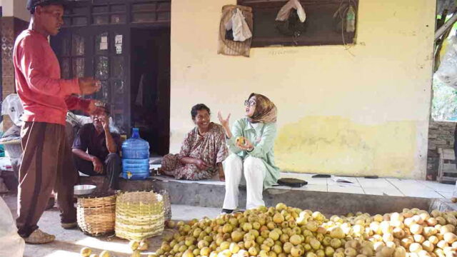 Petani-Buah-Sawo.jpg