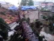 Puluhan Rumah di Cimahi Rusak Akibat Angin Puting Beliung Pohon-Tumbang-Akibat-Puting-Beliung-di-Cimahi.jpg