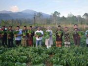 Rina Saadah Ikut Panen Sayuran di Kuningan dan Dengarkan Keluhan Petani Rina-Saadah-2.jpg