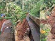 Saluran Sekunder Irigasi Nanggela di Cipaku Ciamis Terputus, Pasokan Air Lumpuh Total Saluran.jpg