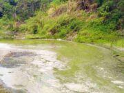 Warga Banjarsari Ciamis Keluhkan Pencemaran Sungai Ciputra Haji, Diduga dari Limbah Tahu Warga-Banjarsari-Ciamis-Keluhkan-Pencemaran-Sungai-Ciputra-Haji.jpg