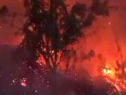 Lahan Pabrik Pengolahan Sabut Kelapa di Kawali Ciamis Terbakar pabrik-pengolahan-kelapa.jpeg