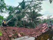 Dua Rumah Rusak Parah Tertimpa Pohon Tumbang di Jatinagara Ciamis rumah-rusak-parah-pohon.jpeg