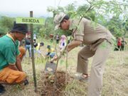Pemda Subang Gelar Penanaman Pohon Asem di Ranggawulung Pemda Subang Gelar Penanaman Pohon Asem di Ranggawulung
